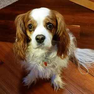 Meet your Posher, Rosemary